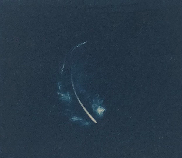 Feather - 2022
