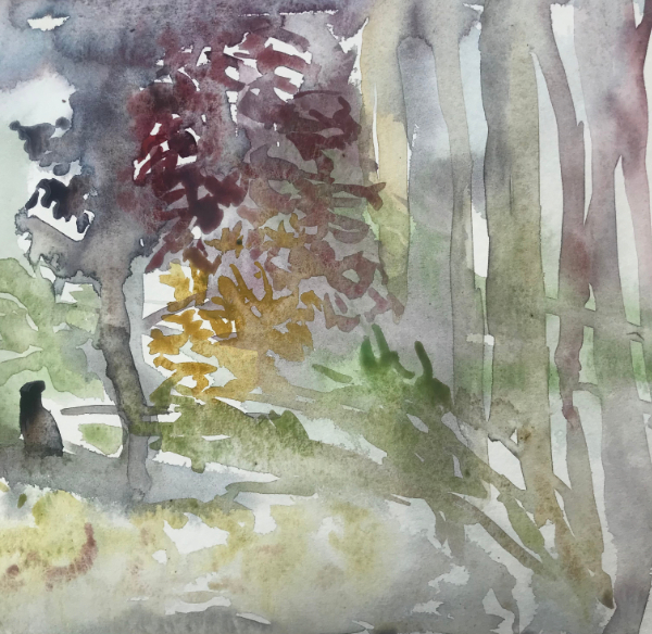 Rainy wood 2022 - 2022