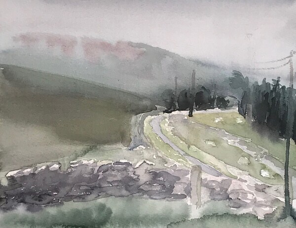 Rainy Yarrow - 2020