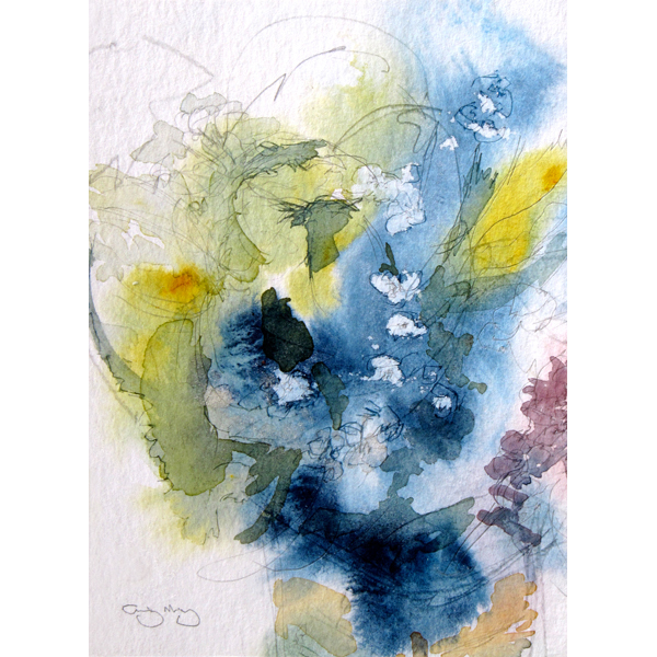 Wild flowers - 2016