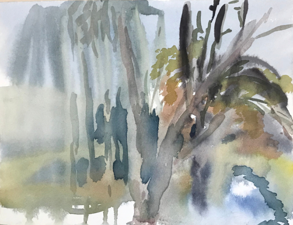 Wood in Mist 2023 - 2023