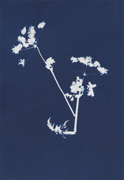 Hemlock - Archive - Graphics