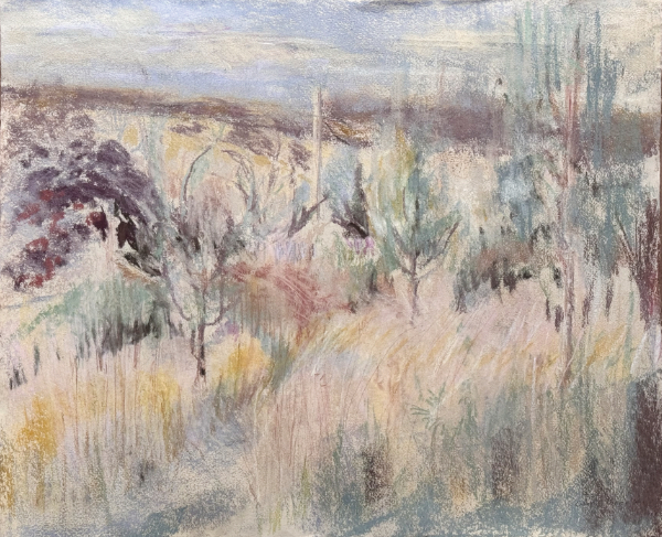 Wild garden in July  26 - 2026