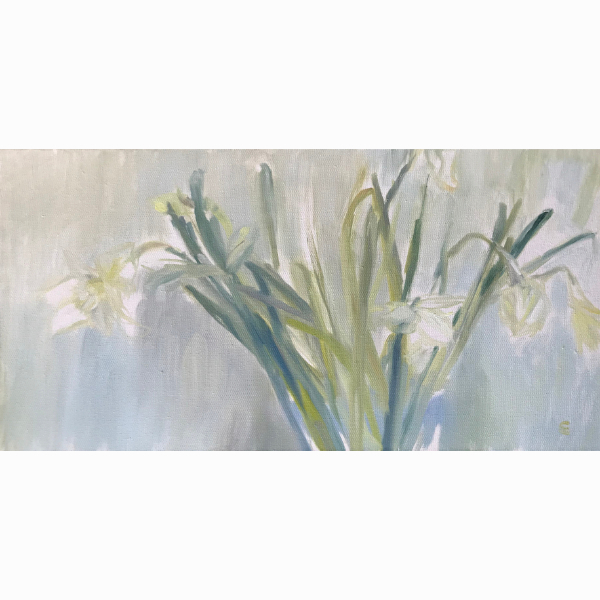 Philiphaugh daffodils - 2021