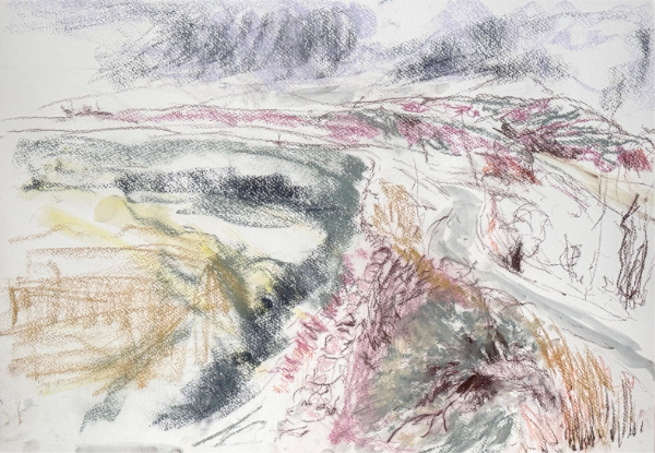 Broken Apple Tree Flourishing - 2025