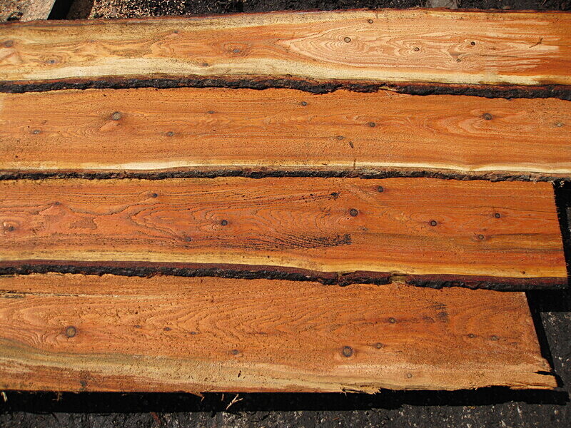 Waney edge  Larch cladding - Wildwood Photos