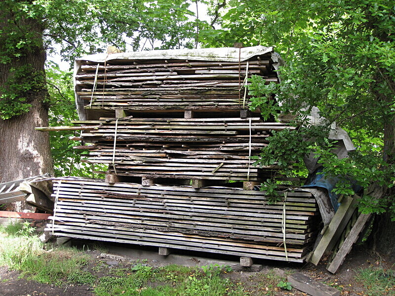 Oak boards seasoning - Wildwood Photos