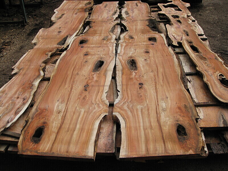 Yew planks - Wildwood Photos