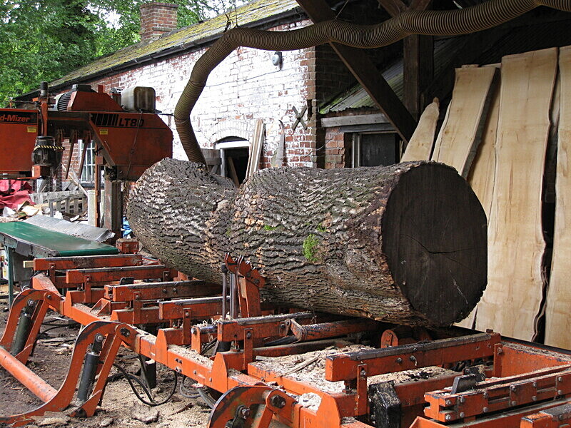 Sawmilling Ash  - Wildwood Photos