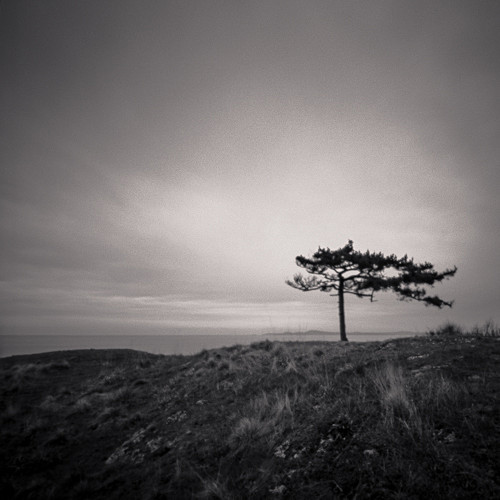 - Pinhole