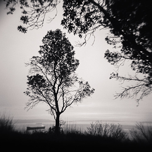  - Holga