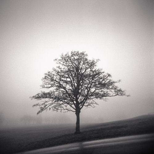  - Holga