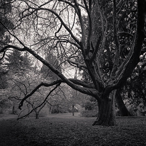 Michael Salmela Photography