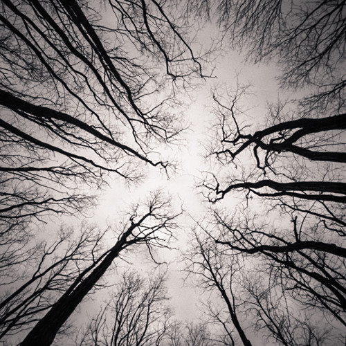  - Pinhole