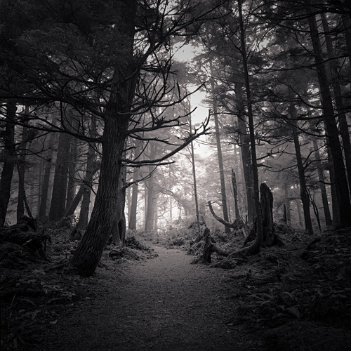 Michael Salmela Photography