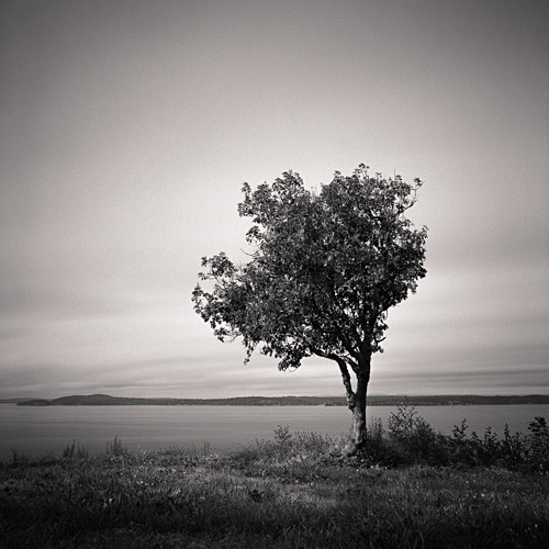 Lucid Dream - 2014-2019