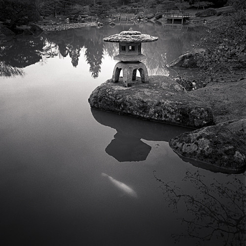 Lantern and Koi - 2014-2019