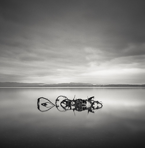 Michael Salmela Photography