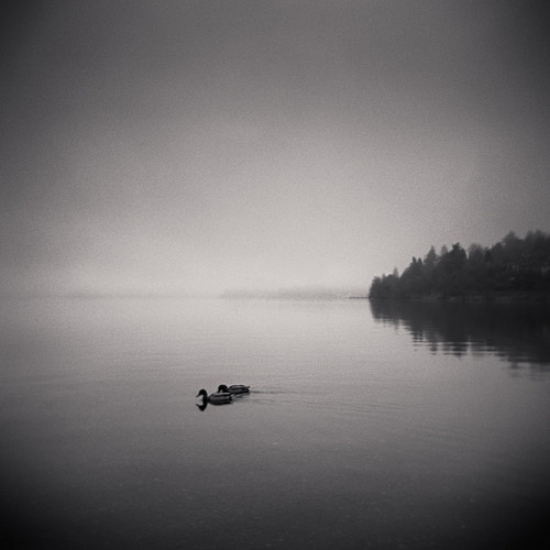  - Holga