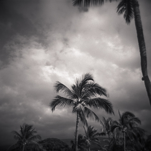  - Holga