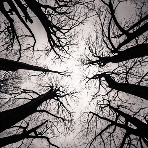  - Pinhole