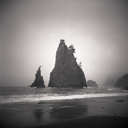  - Holga