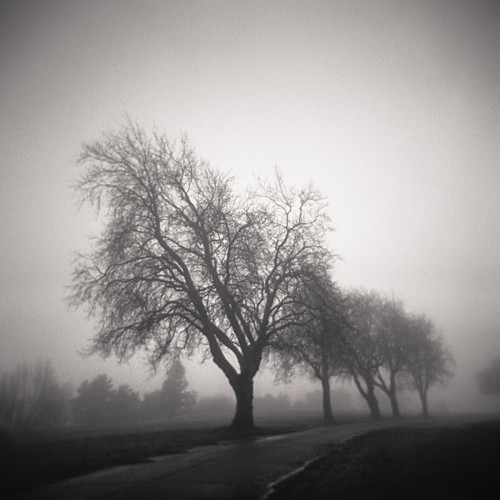  - Holga