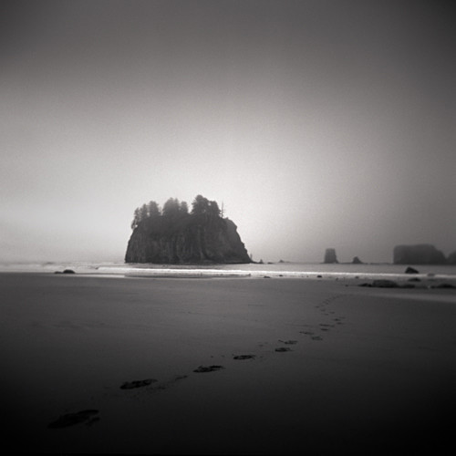  - Holga