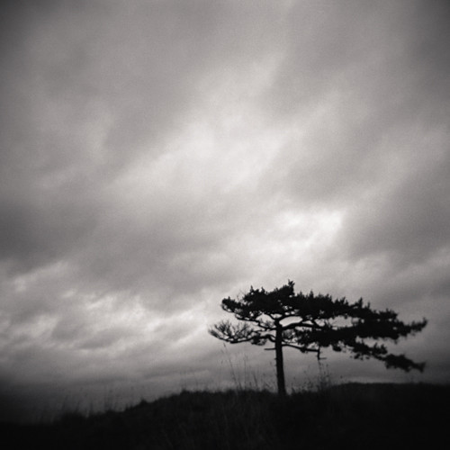  - Holga