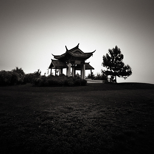 Chinese Garden - 2012-2014