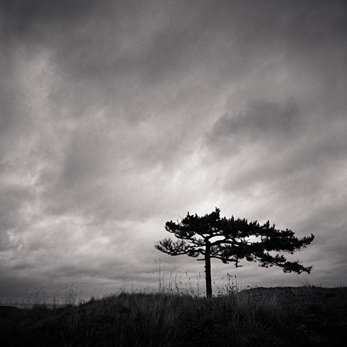 Michael Salmela Photography