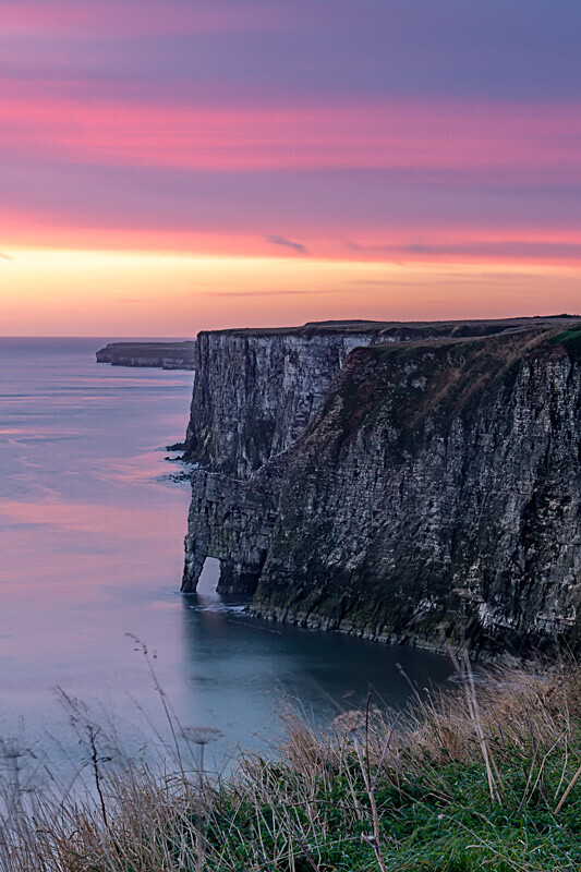 Bempton Cliffs - Bempton Cliffs