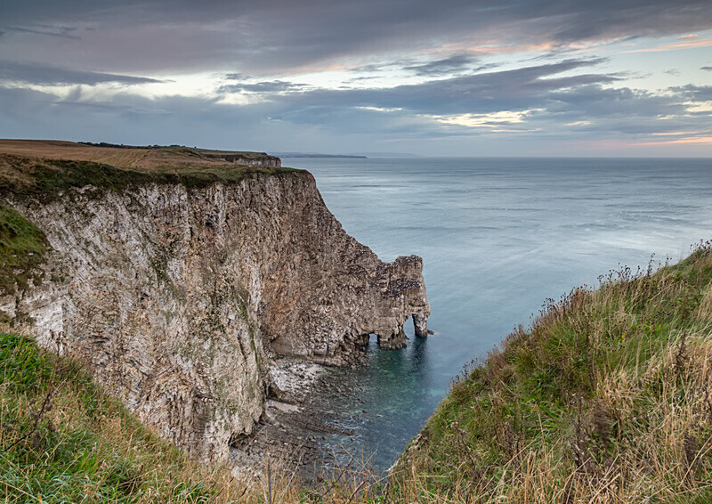 Bempton Cliffs 7 - Bempton Cliffs