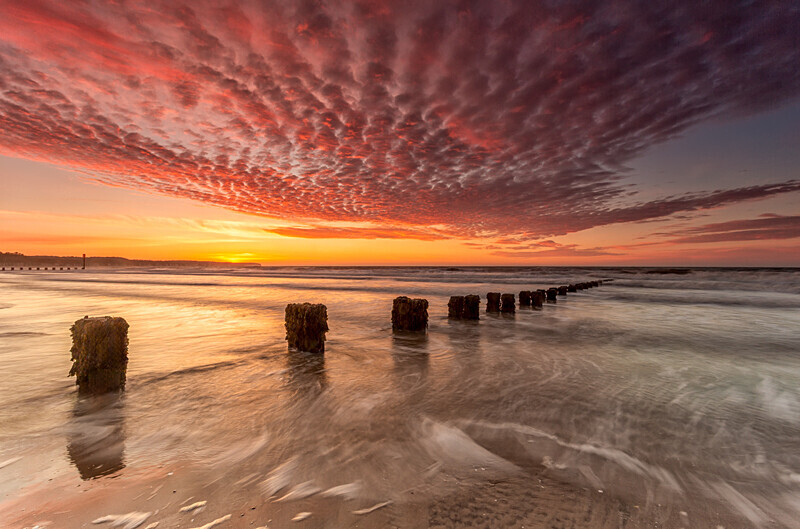 Dawn Breaking 19/04/25 - Bridlington