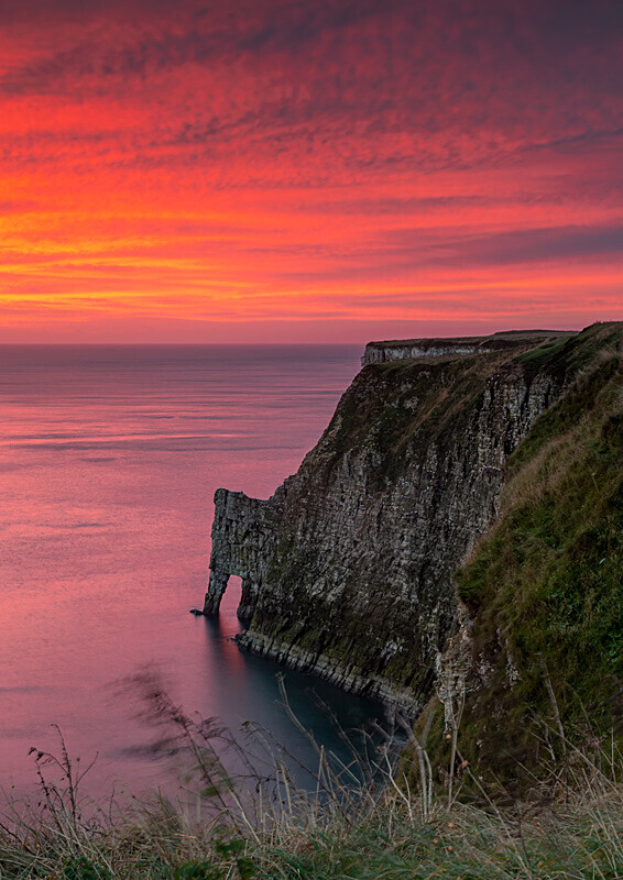 Bempton Cliffs 5 - Bempton Cliffs