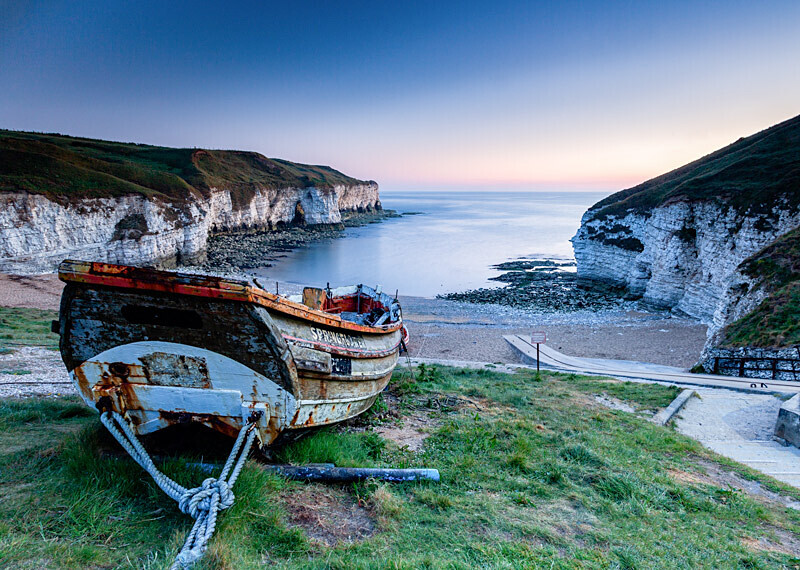 Springflower - Flamborough Head