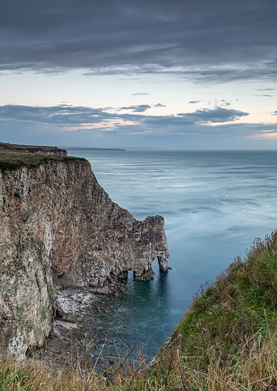 Bempton Cliffs 6 - Bempton Cliffs