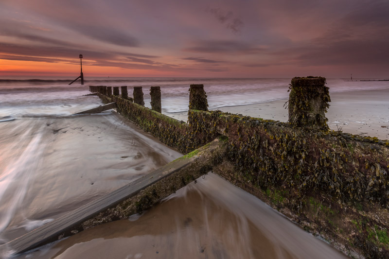 Dawn Light - Hornsea