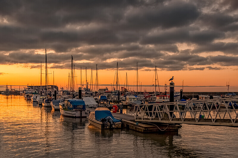 Brid Harbour at First Light - Bridlington