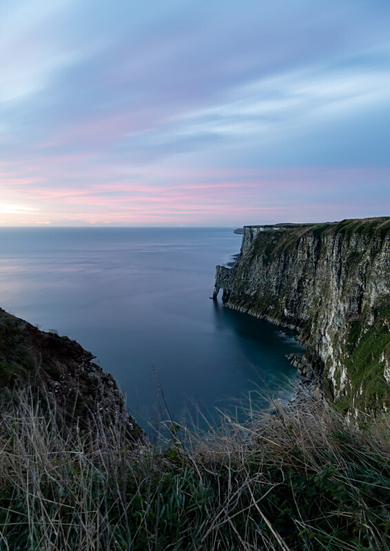 Bempton Cliffs 3 - Bempton Cliffs