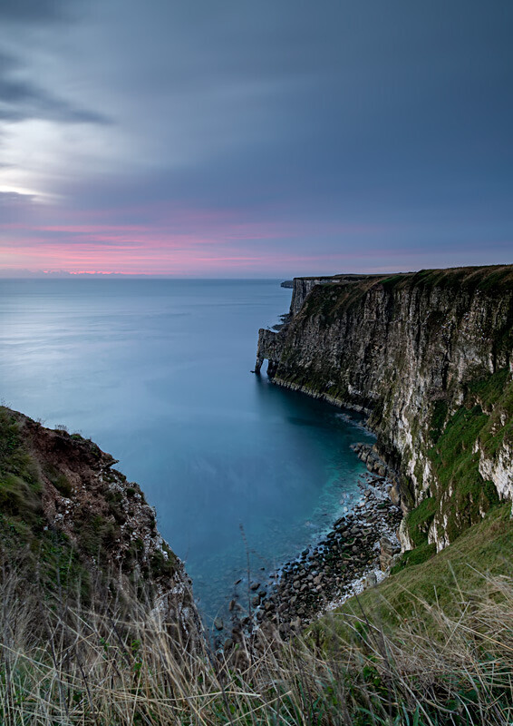 Bempton Cliffs 2 - Bempton Cliffs