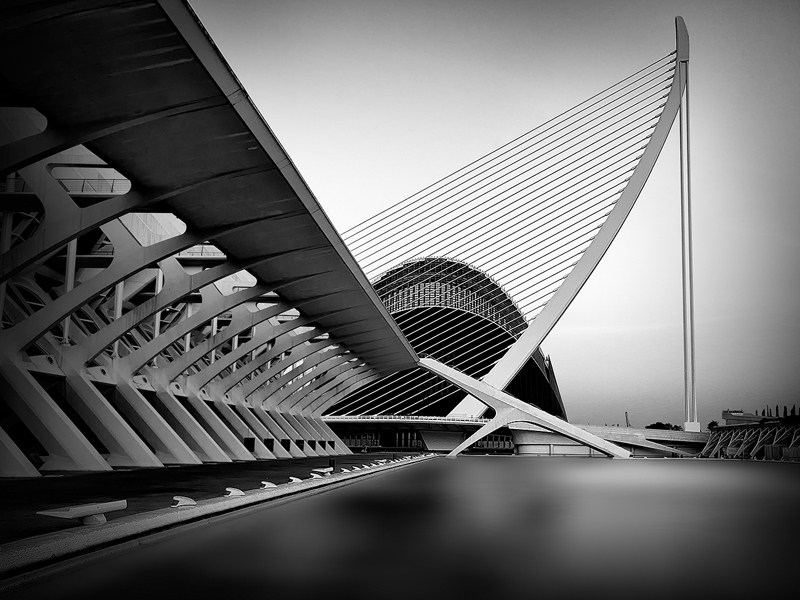  - Gills DPAGB Images