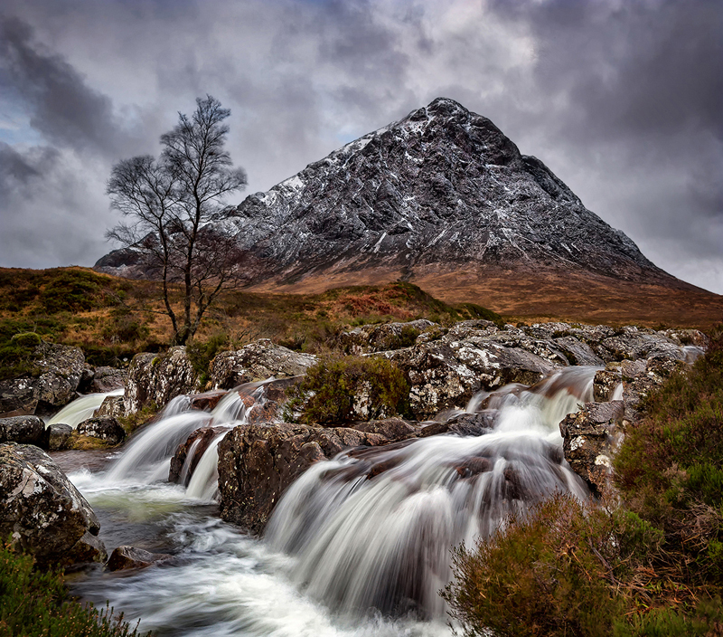  - Gills DPAGB Images