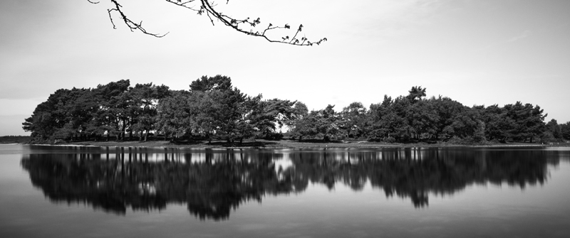 Hatchett Pond - Black and White
