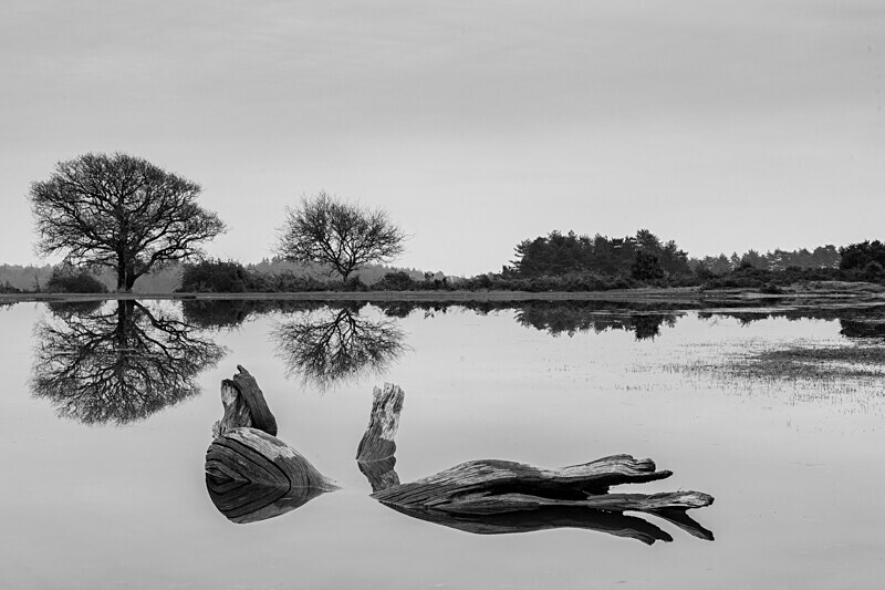 Reflecting on Mogshade - Black and White