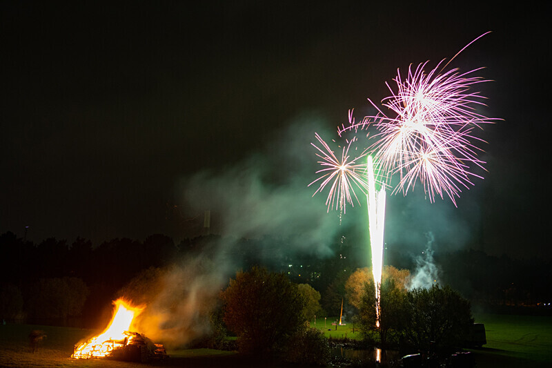 Fireworks 1 - Fireworks