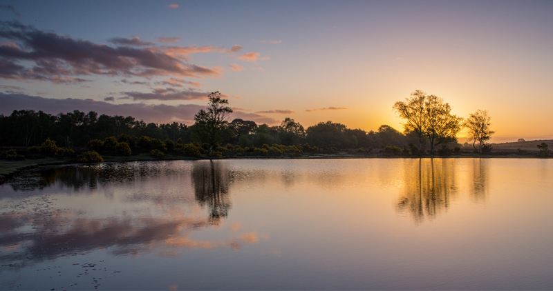 Whitten Pond at Dawn - New Forest