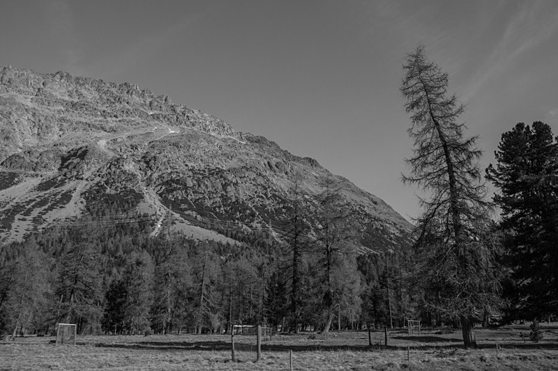  - Bernina Express