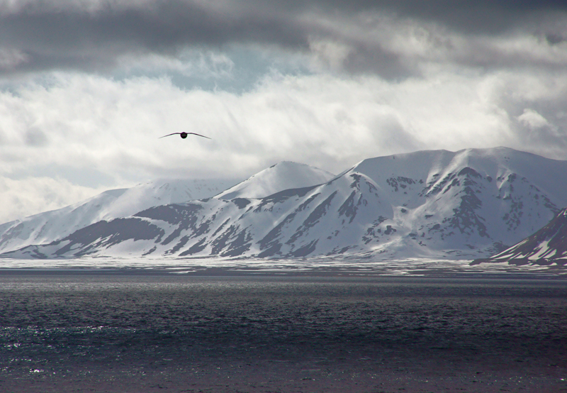 Arctic Ocean Spitzbergen - Overseas