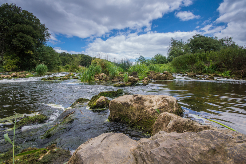 River Stour Dudsbury - River